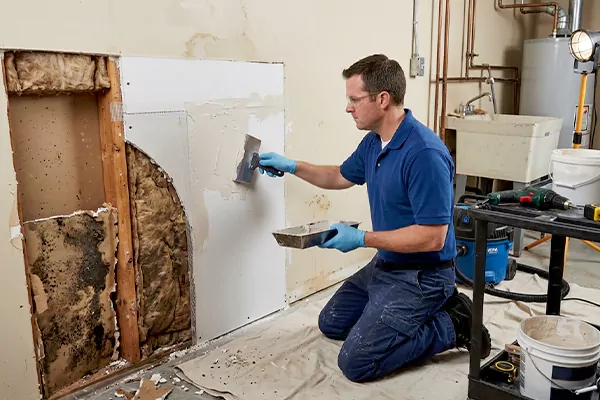 Mold and Drywall Repair Wildomar