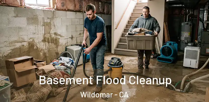 Basement Flood Cleanup Wildomar - CA