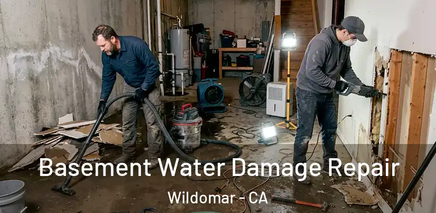 Basement Water Damage Repair Wildomar - CA