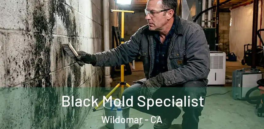 Black Mold Specialist Wildomar - CA