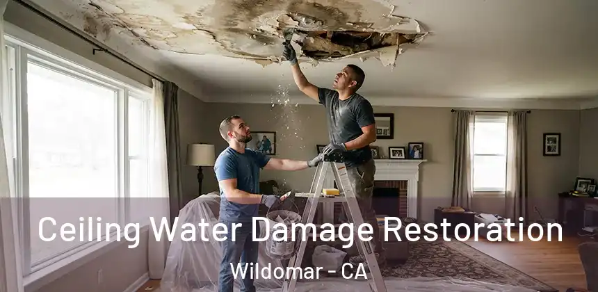 Ceiling Water Damage Restoration Wildomar - CA