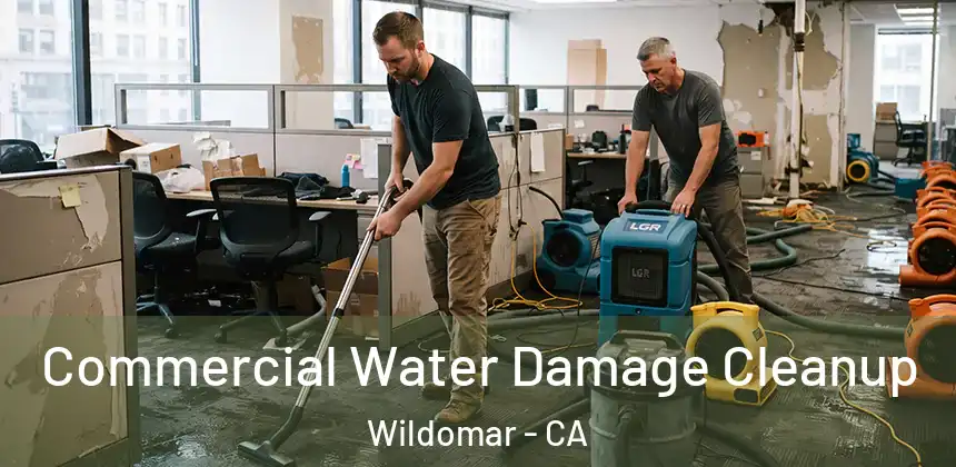 Commercial Water Damage Cleanup Wildomar - CA