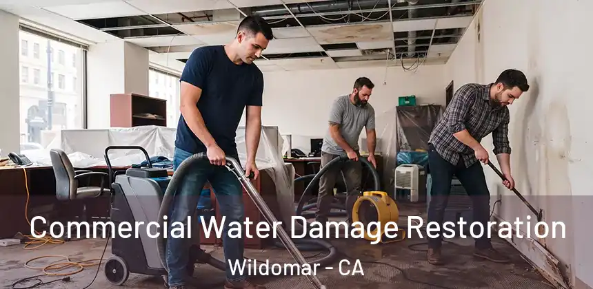 Commercial Water Damage Restoration Wildomar - CA