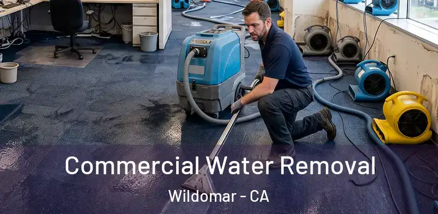 Commercial Water Removal Wildomar - CA