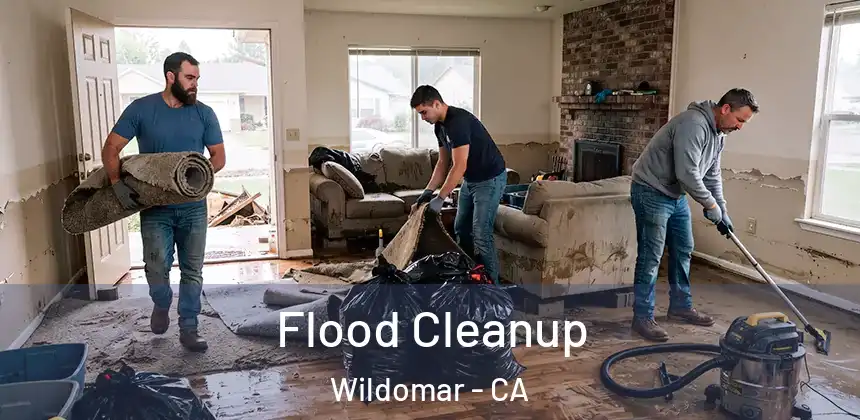  Flood Cleanup Wildomar - CA