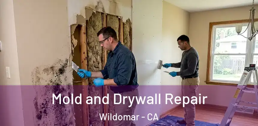 Mold and Drywall Repair Wildomar - CA