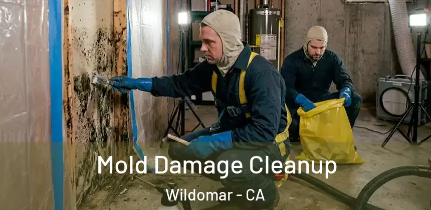  Mold Damage Cleanup Wildomar - CA