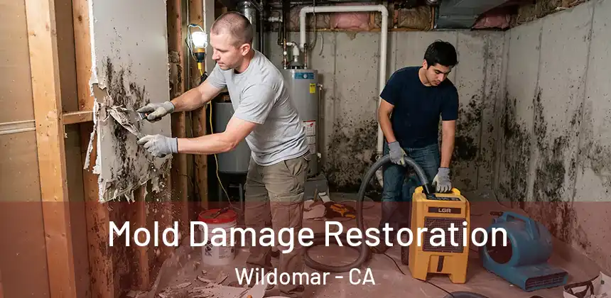  Mold Damage Restoration Wildomar - CA