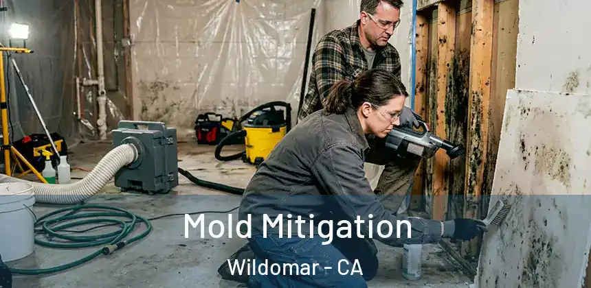  Mold Mitigation Wildomar - CA