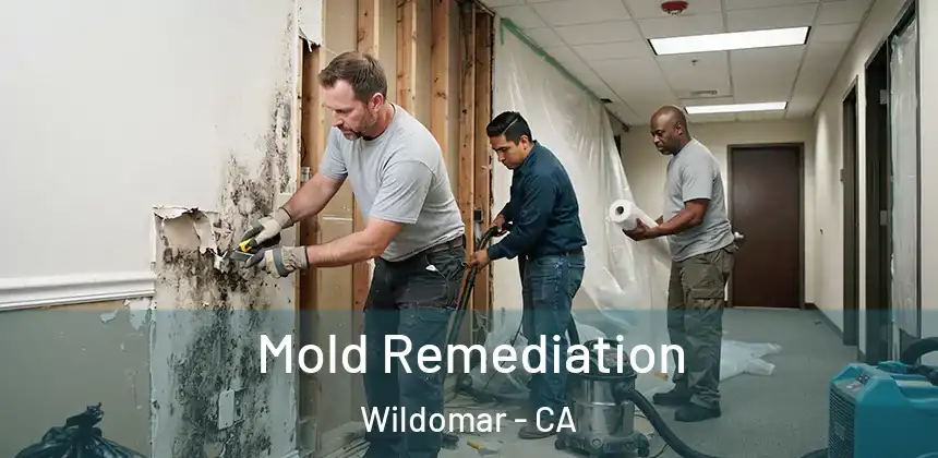 Mold Remediation Wildomar - CA