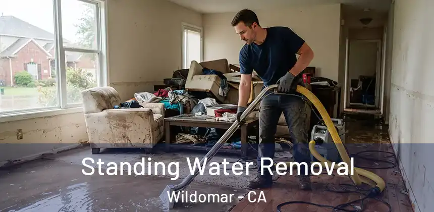 Standing Water Removal Wildomar - CA