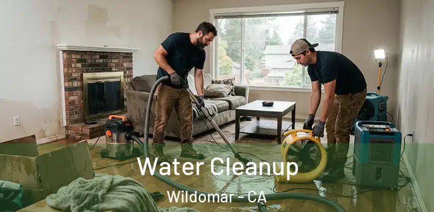 Water Cleanup Wildomar - CA
