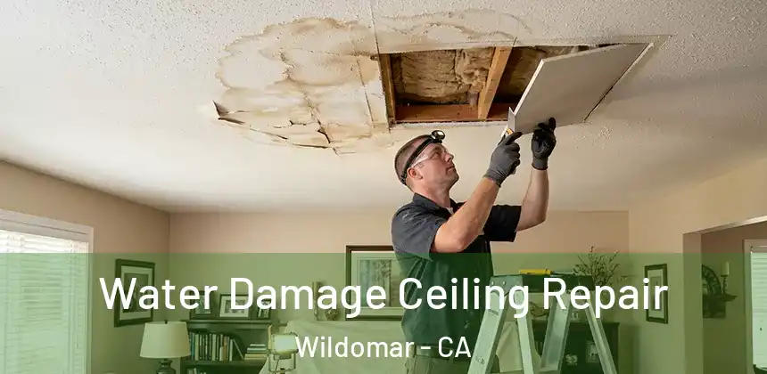 Water Damage Ceiling Repair Wildomar - CA