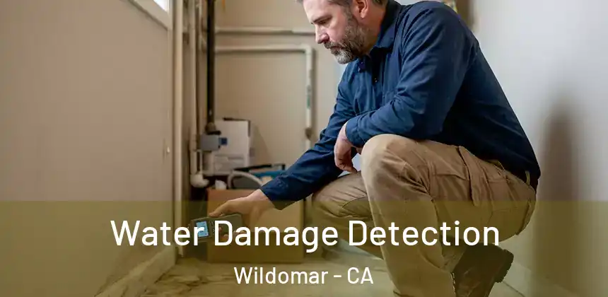 Water Damage Detection Wildomar - CA