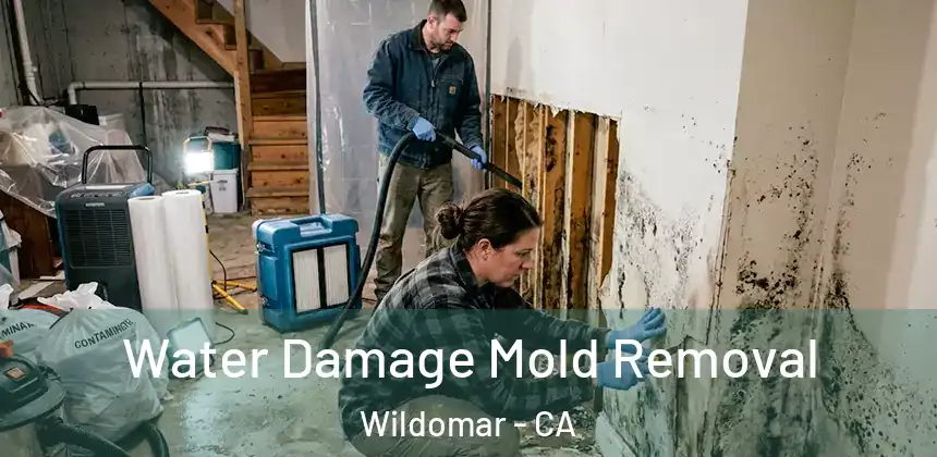 Water Damage Mold Removal Wildomar - CA