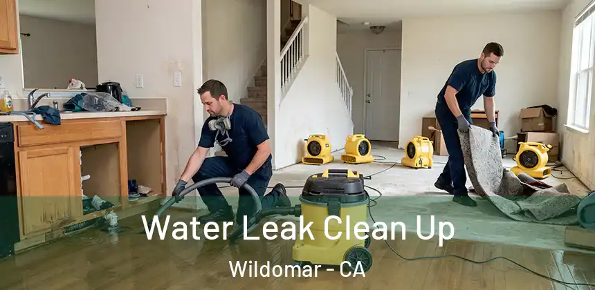 Water Leak Clean Up Wildomar - CA