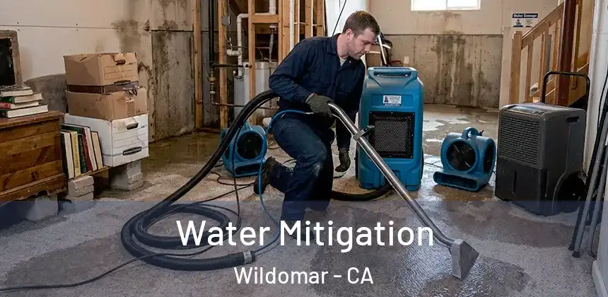  Water Mitigation Wildomar - CA