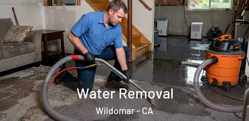 Water Removal Wildomar - CA
